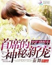 《名门情斗:首席的神秘新宠》